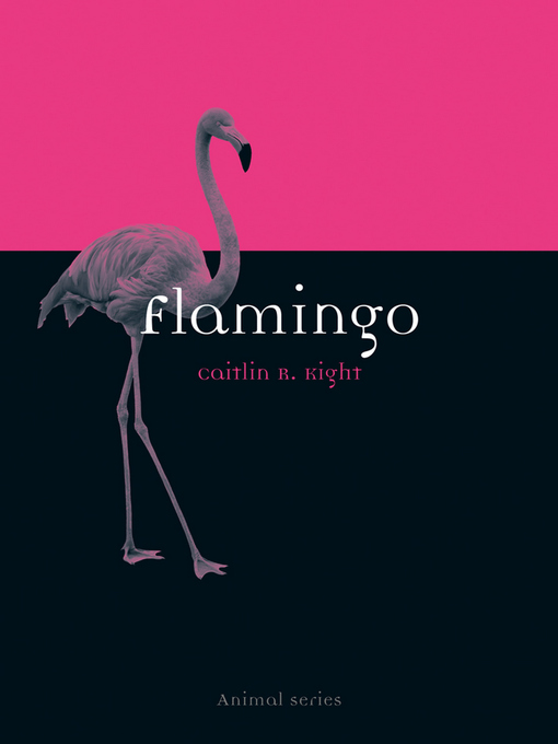 Title details for Flamingo by Caitlin R. Kight - Available